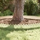 Ограничители за трева от неръждаема стомана, 10 бр., 103 x 0,05 x 22 см