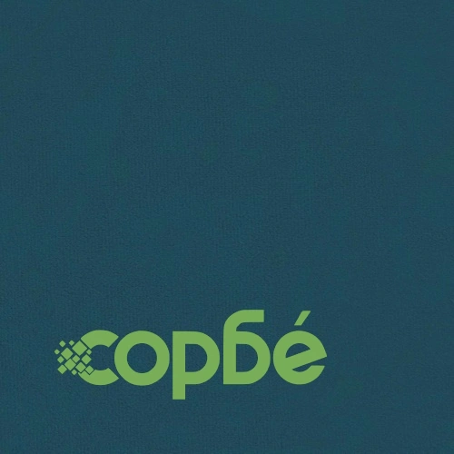 Сгъваема дюшек-постелка диван Синьо 152 x 86,5 x 60 см Текстил ➤ топ цена ➤ sorbe.bg