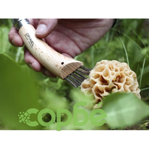 Сгъваем нож за гъби Opinel Nomad №8 ➤ топ цена ➤ sorbe.bg