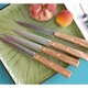 Комплект от 4 бр. ножове за пържоли Opinel №125 - Bon Appetit, с дръжка от маслиново дърво