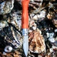Сгъваем нож за стриди Opinel №9, острие 6.5 см