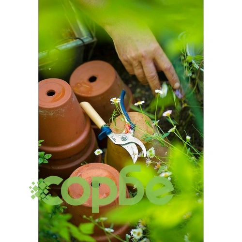 Градинарска ножица Opinel, синя ➤ топ цена ➤ sorbe.bg