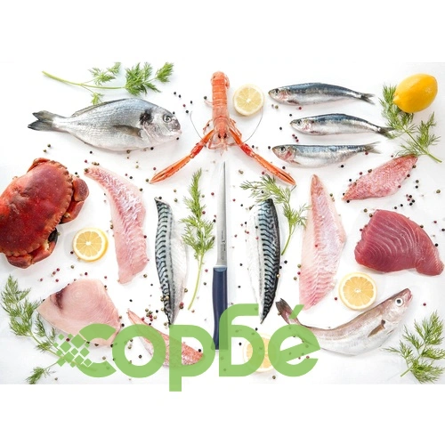 Кухненски нож за филетиране Opinel Iintempora №221, острие 18 см ➤ топ цена ➤ sorbe.bg