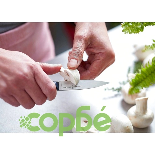 Кухненски нож Opinel Intempora №225, острие 8 см ➤ топ цена ➤ sorbe.bg
