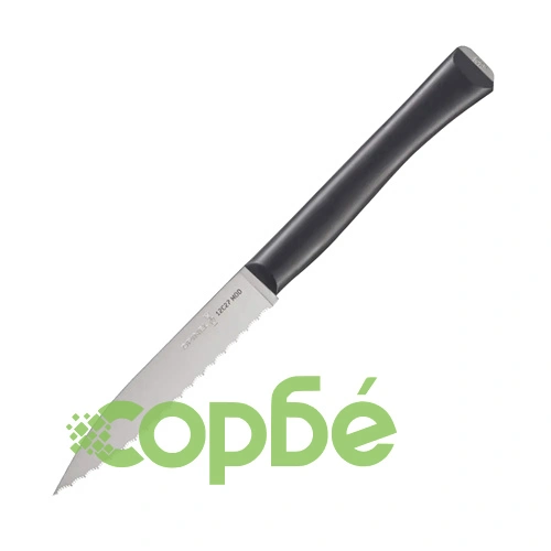 Кухненски нож Opinel Intempora №226, острие 10 см ➤ топ цена ➤ sorbe.bg