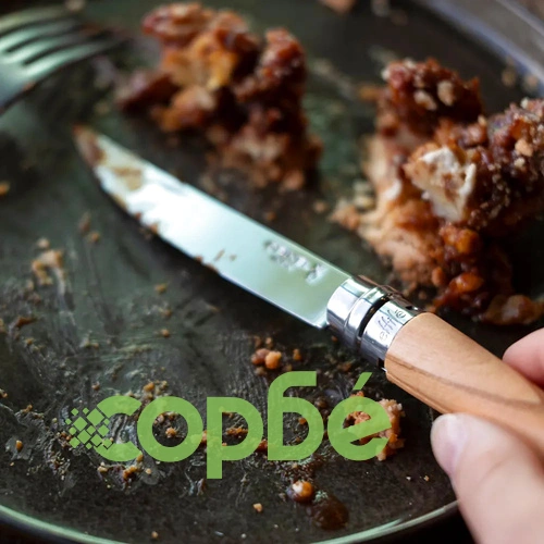 Сгъваем нож Opinel Les Effiles Olivier №10, острие 10 см, в кутия ➤ топ цена ➤ sorbe.bg