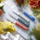 Комплект кухненски ножове и белачка Opinel Les Essentiels - Primo Set