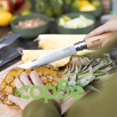 Комплект за барбекю Opinel - 3 Piece Premium Barbecue Set ➤ топ цена ➤ sorbe.bg
