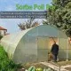 Оранжерия от Поликарбонат Sorbe Poli Pro с 2 врати 6x10x3м (60 кв.м.)