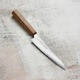 Кухненски нож Tojiro REPPU Kiritsuke Gyuto 210мм FD-1362 - SG2 ламинат - дръжка тик