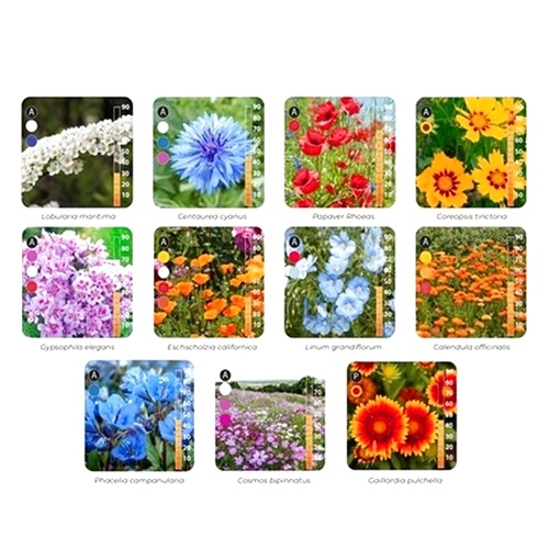 Ролка със семена за многогодишни диви цветя 5м2 ➤ топ цена ➤ sorbe.bg