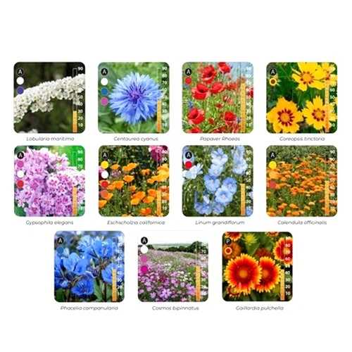 Ролка със семена за едногодишни смесени диви цветя 5м2 ➤ топ цена ➤ sorbe.bg