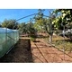 Метална конструкция за оранжерия Tunnel Pro System 3 - 18 кв.м. (6x3x2m)