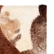 Пачуърк килим от кожа, 120x170 см, кафяво/бяло 