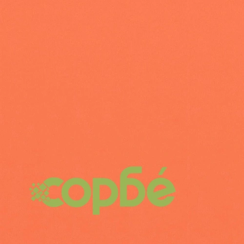 Балконски параван, оранжев, 90x300 см, оксфорд плат ➤ топ цена ➤ sorbe.bg