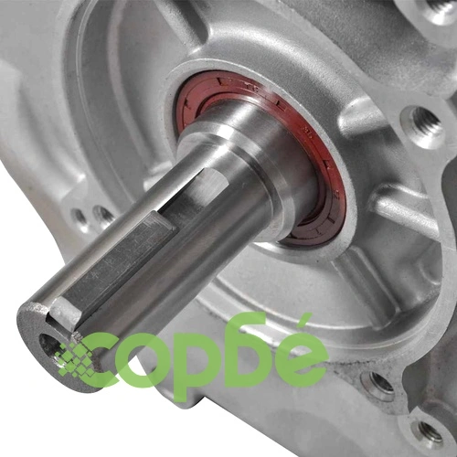 Бензинов двигател 15 HP 11 kW черен  ➤ топ цена ➤ sorbe.bg