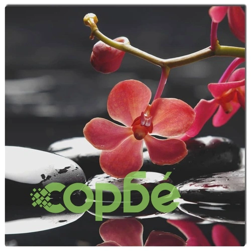 Инфрачервен отоплителен нагревател за стена, 400W, 60 х 60 см - Ориент ➤ топ цена ➤ sorbe.bg