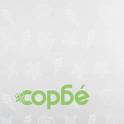 Ролетна щора за баня, 80x240 см, морски звезди ➤ топ цена ➤ sorbe.bg