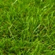 Изкуствена трева, 1x15 м/40 мм, зелена