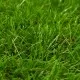 Изкуствена трева, 1,33x8 м/40 мм, зелена