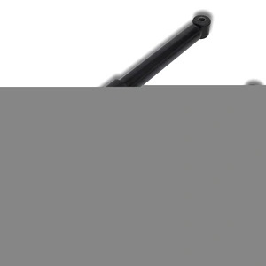 Комплект 2 задни пневматични амортисьори за Ford / Golden Dragon и др.