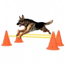 Комплект препятствия за обучение на кучета, оранжево и жълто 