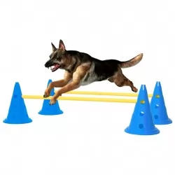 Комплект препятствия за обучение на кучета, синьо и жълто