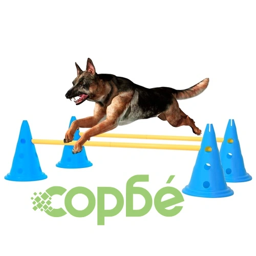 Комплект препятствия за обучение на кучета, синьо и жълто ➤ топ цена ➤ sorbe.bg