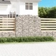Дъговидна габионна кошница 200x50x180/200 см поцинковано желязо