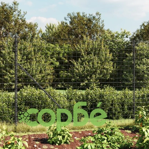 Ограда от телена мрежа антрацит 2,2x10 м поцинкована стомана ➤ топ цена ➤ sorbe.bg