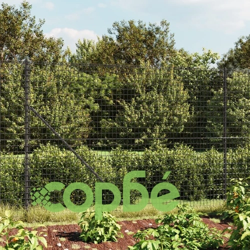 Ограда от телена мрежа с фланец, антрацит, 2,2x25 м ➤ топ цена ➤ sorbe.bg