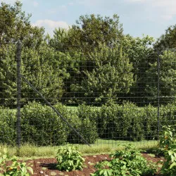 Ограда от телена мрежа с фланец, антрацит, 2,2x25 м