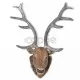 Декоративна глава на елен за стената, естествен вид