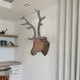 Декоративна глава на елен за стената, естествен вид
