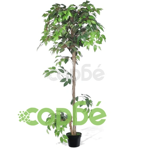 Изкуствен фикус в саксия 160 см ➤ топ цена ➤ sorbe.bg