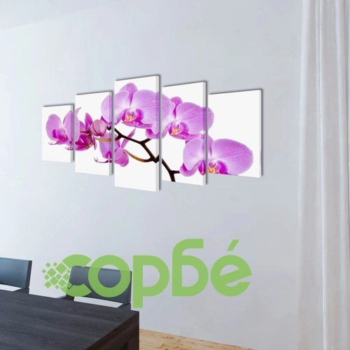 Декоративни панели за стена Орхидея, 200 x 100 см ➤ топ цена ➤ sorbe.bg