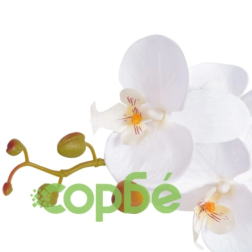 Изкуствена орхидея със саксия 75 см бяла ➤ топ цена ➤ sorbe.bg