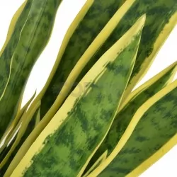 Изкуствено растение сансевиера със саксия, 90 см, зелено