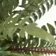 Изкуствено растение папрат със саксия, 50 см, зелено