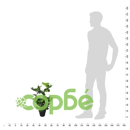 Изкуствено растение хортензия със саксия, 60 см, бяла ➤ топ цена ➤ sorbe.bg
