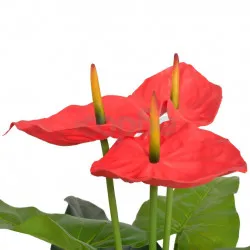 Изкуствено растение антуриум със саксия, 90 см, червено и жълто