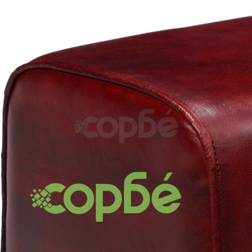 Пейка, естествена кожа, кафява, 160х28х50 см   ➤ топ цена ➤ sorbe.bg