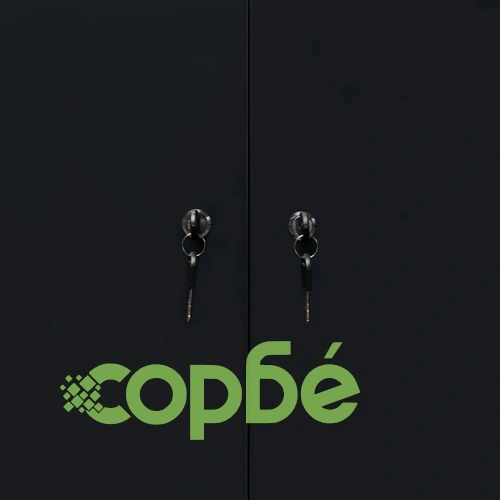 Стенен шкаф за инструменти, метал, 80x19x60 см, черен ➤ топ цена ➤ sorbe.bg