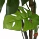 Изкуствено растение монстера в саксия, 130 см, зелено