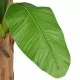 Изкуствено растение банан в саксия, 250 см, зелено