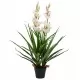 Изкуствено растение орхидея цимбидиум в саксия, 100 см, зелено