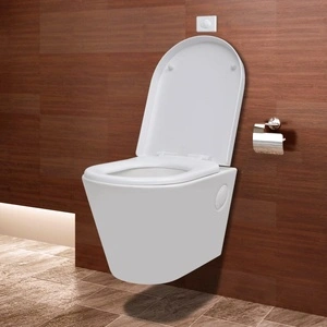 Окачена керамична тоалетна тоалетна бяла със скрито казанче