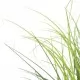 Изкуствено растение декоративна трева, зелено, 80 см