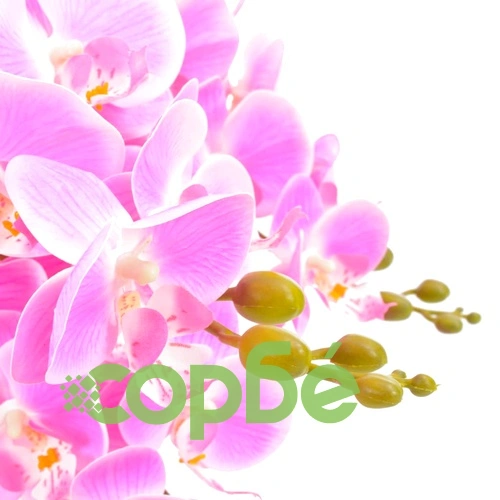 Изкуствено растение орхидея със саксия, розово, 60 см ➤ топ цена ➤ sorbe.bg