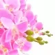 Изкуствено растение орхидея със саксия, розово, 60 см